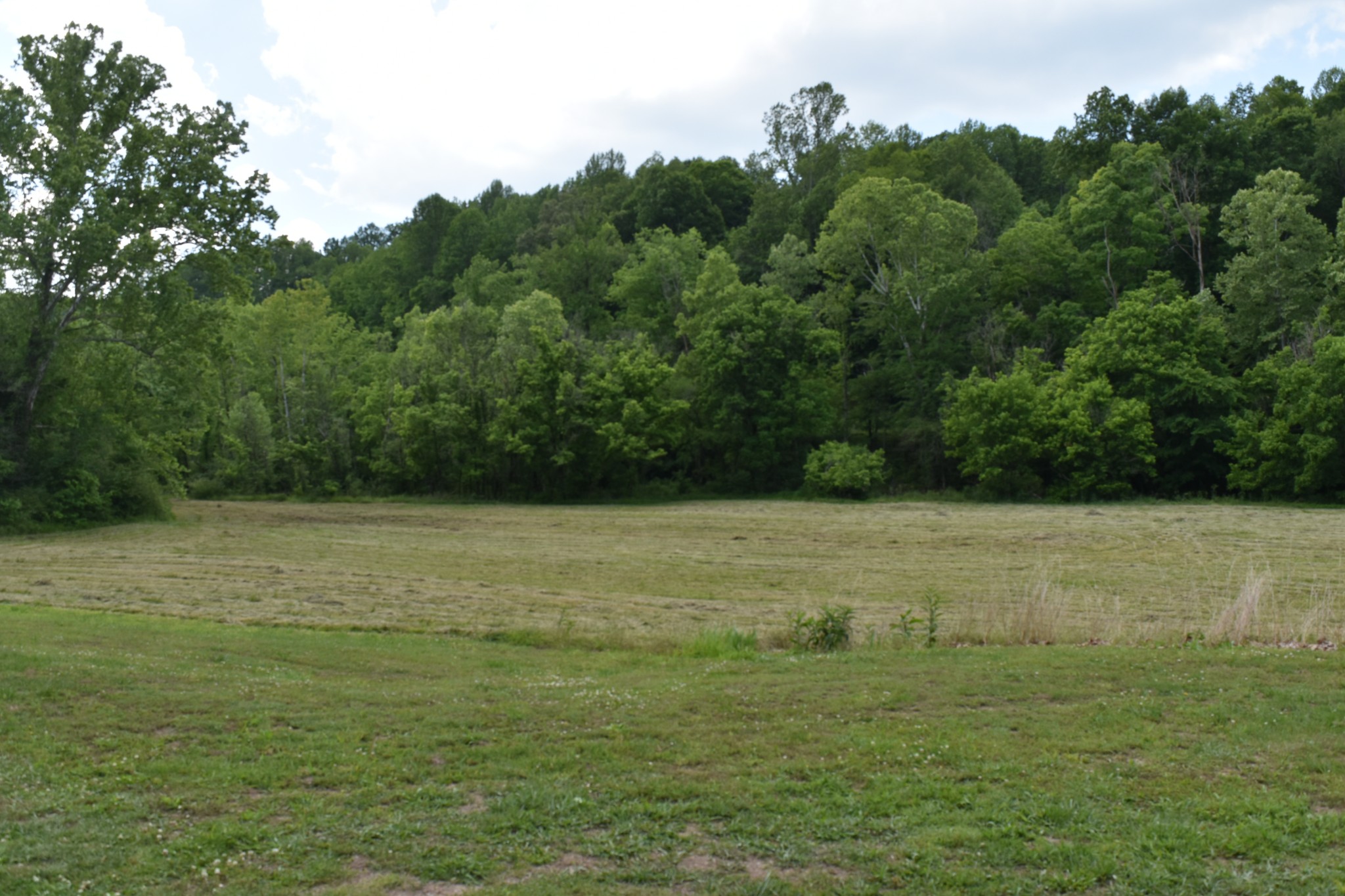 1331 Turkey Creek Loop Tullahoma TN 37388