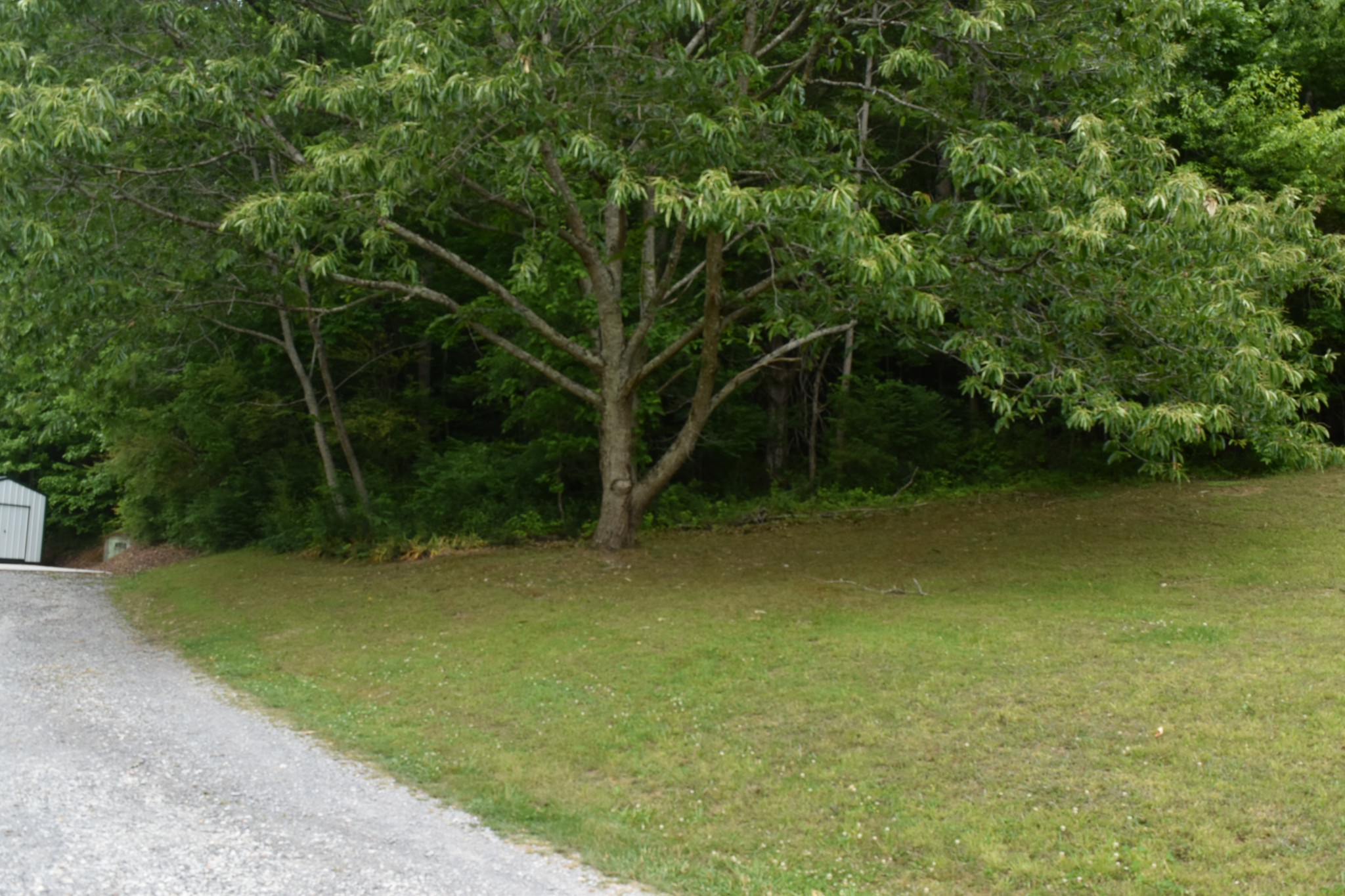 1331 Turkey Creek Loop Tullahoma TN 37388