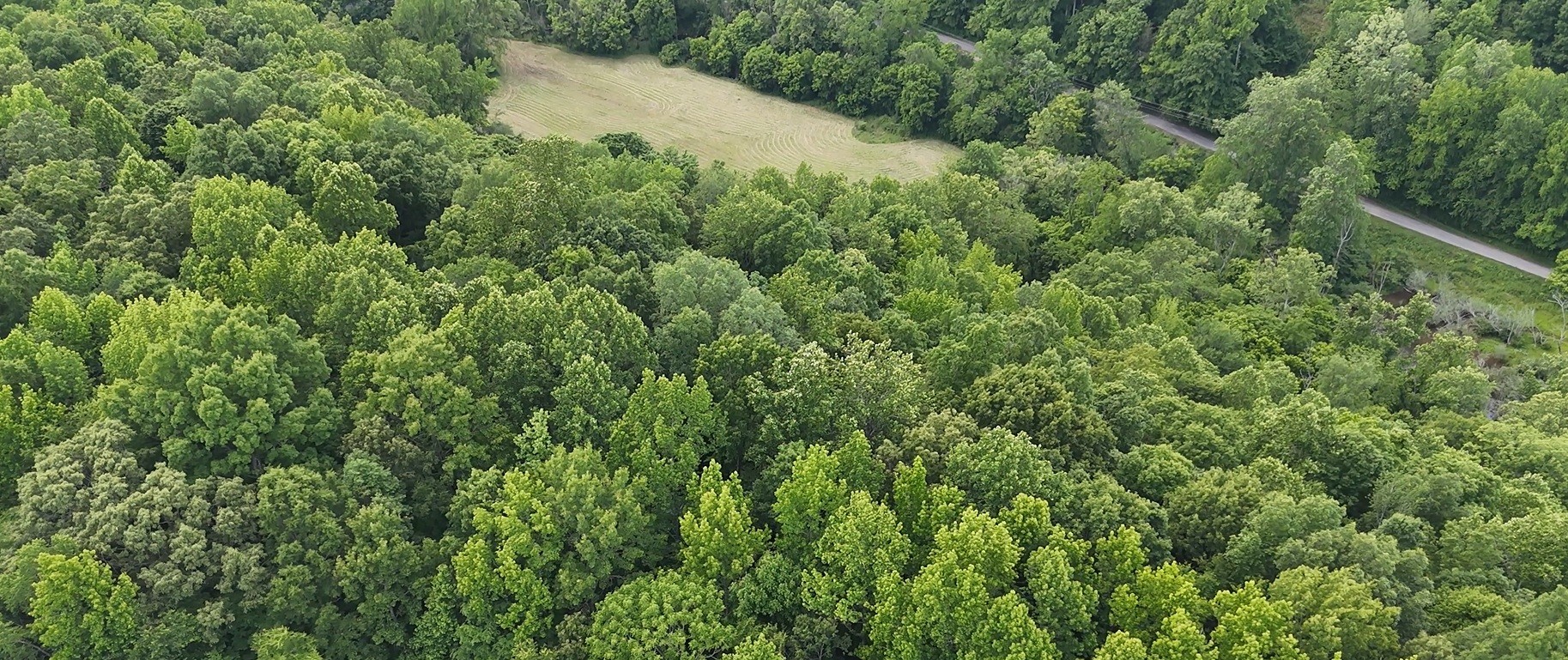1331 Turkey Creek Loop Tullahoma TN 37388