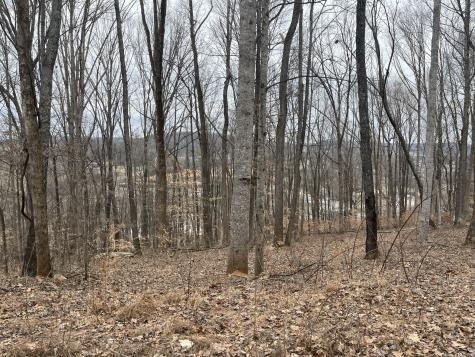 147 Chestnut Hill Livingston TN 38570