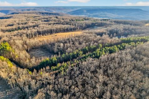 1011 Low Gap Road Sparta TN 38583