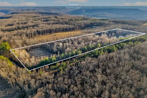 1011 Low Gap Road Sparta TN 38583