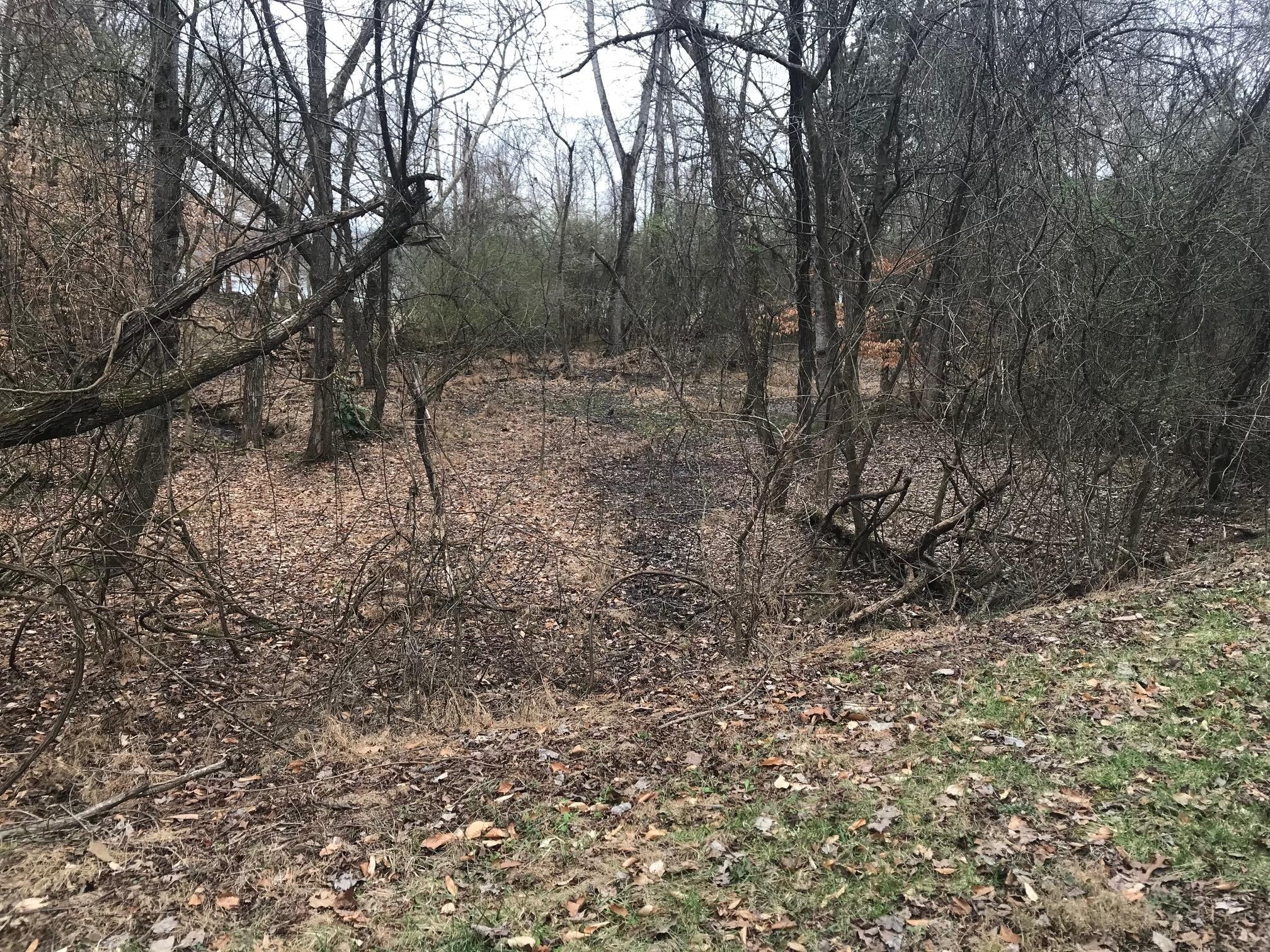 50 Cherokee Circle Ten Mile TN 37880