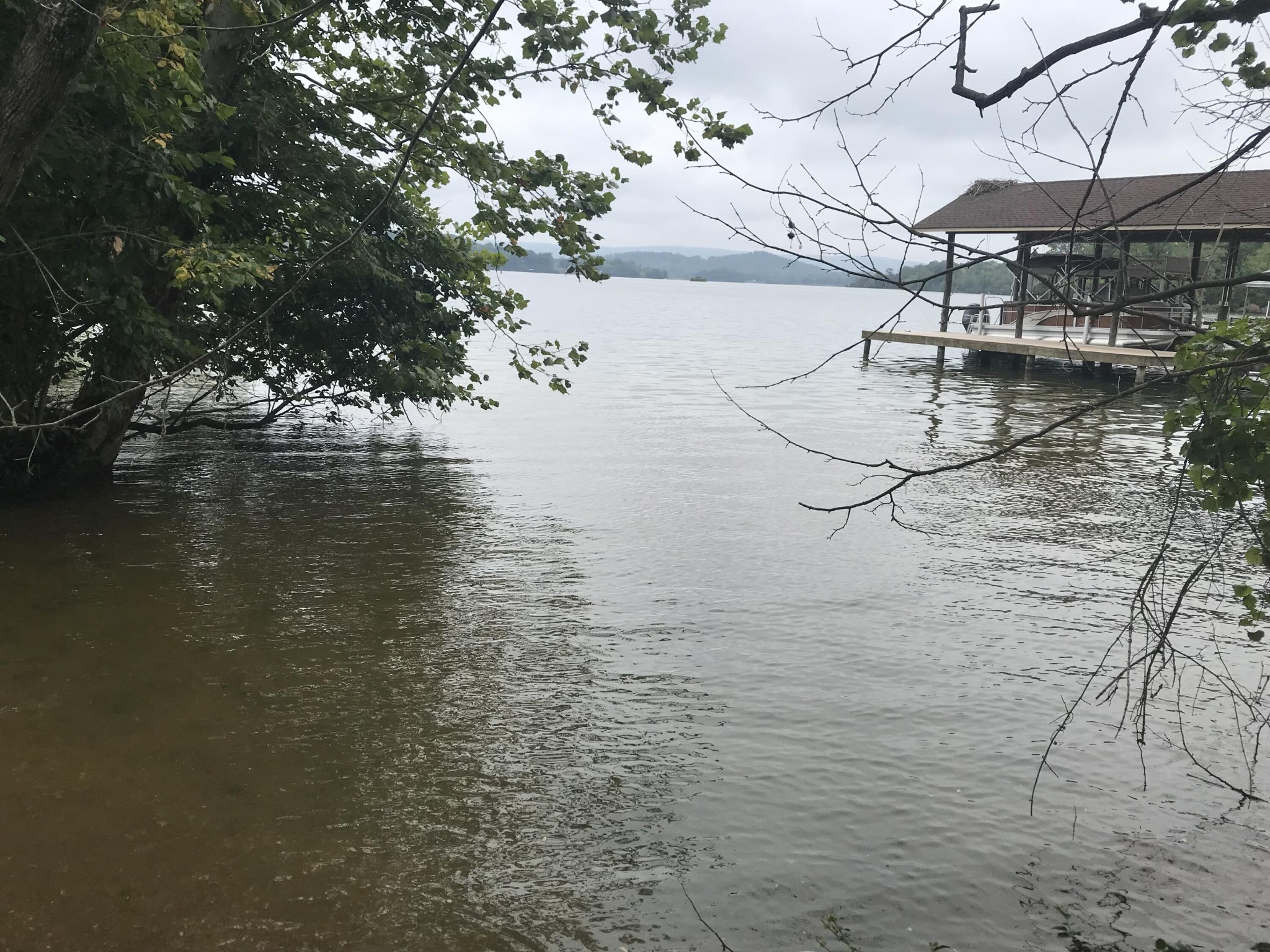 50 Cherokee Circle Ten Mile TN 37880