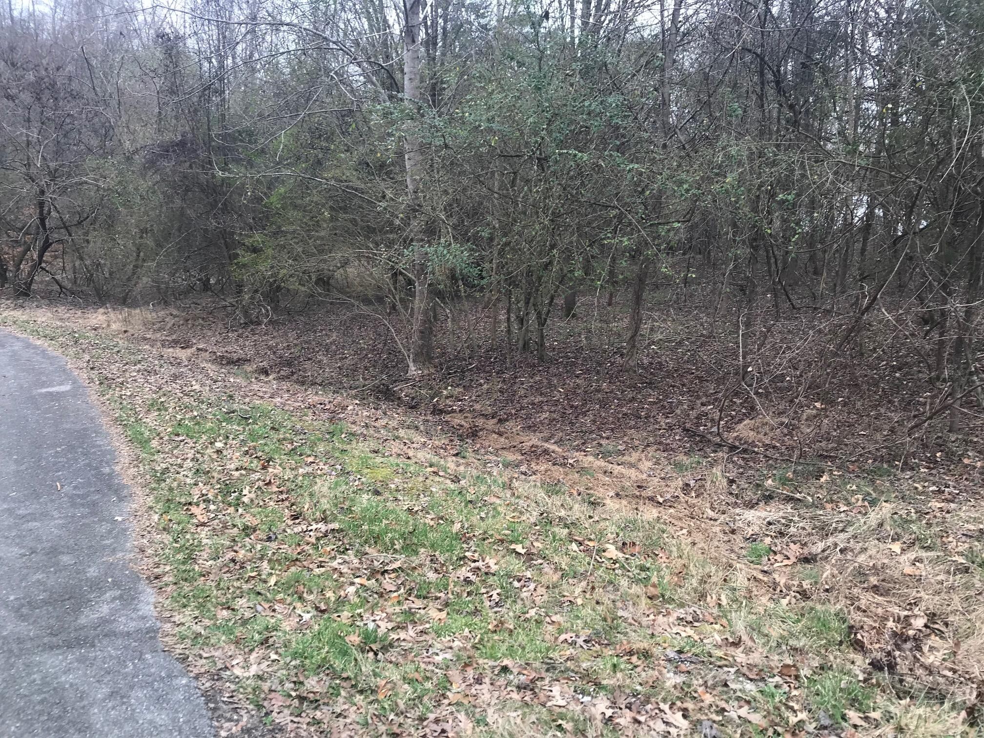 50 Cherokee Circle Ten Mile TN 37880