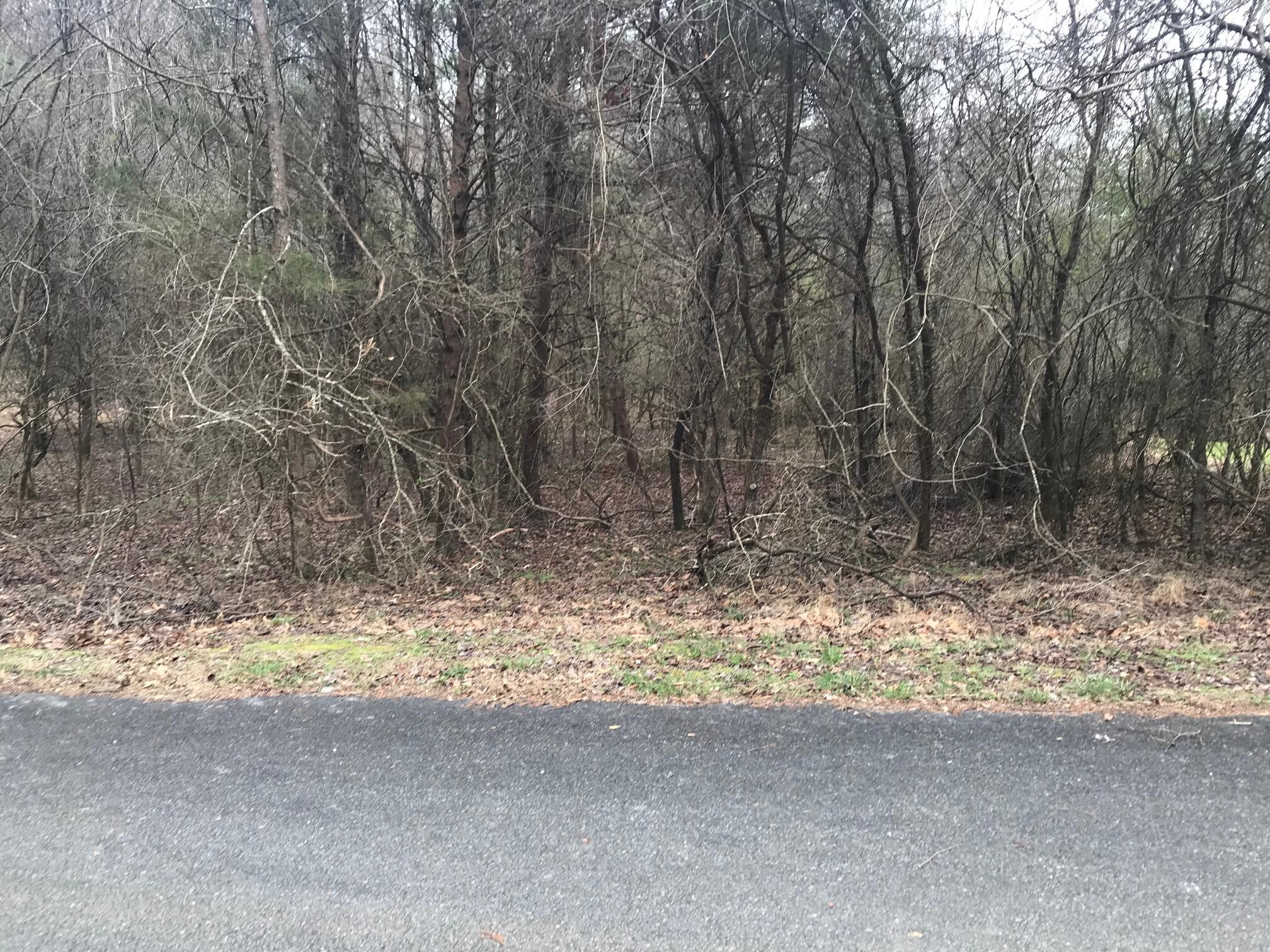 50 Cherokee Circle Ten Mile TN 37880