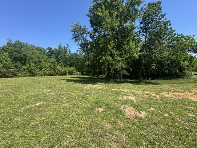 149 Horseshoe Bend Linden TN 37096
