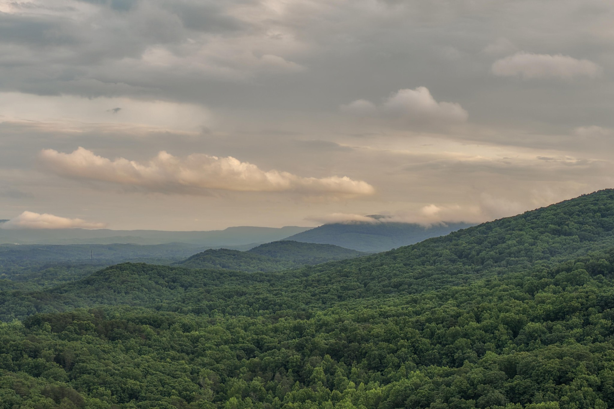 32 Lantern Cove Road Chickamauga GA 30707