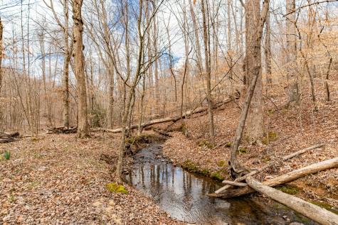 0 Busby Road Loretto TN 38469