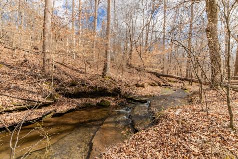 0 Busby Road Loretto TN 38469