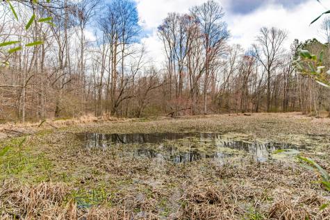 0 Busby Road Loretto TN 38469