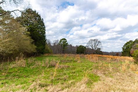 0 Busby Road Loretto TN 38469