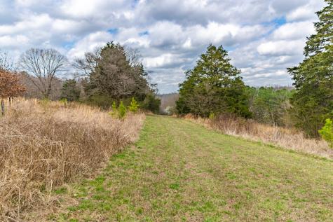 0 Busby Road Loretto TN 38469