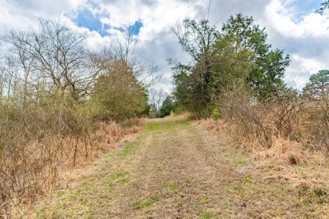 0 Busby Road Loretto TN 38469