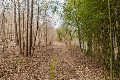 0 Busby Road Loretto TN 38469
