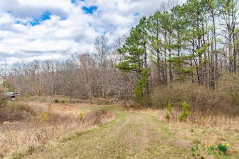 0 Busby Road Loretto TN 38469