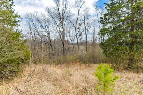 0 Busby Road Loretto TN 38469