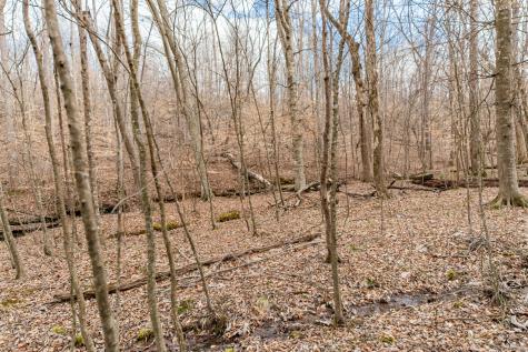0 Busby Road Loretto TN 38469
