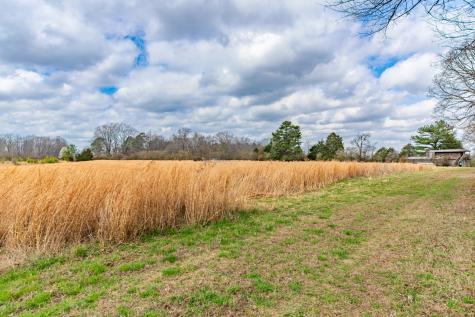 0 Busby Road Loretto TN 38469