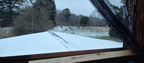 0 Busby Road Loretto TN 38469
