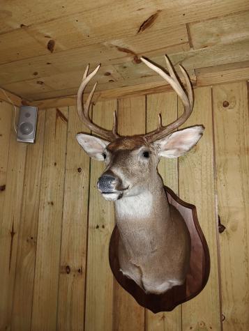 0 Busby Road Loretto TN 38469