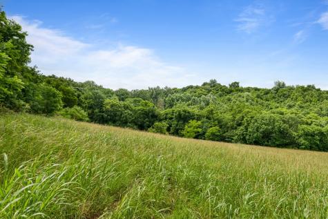 2223 Simmons Ridge Road Cornersville TN 37047