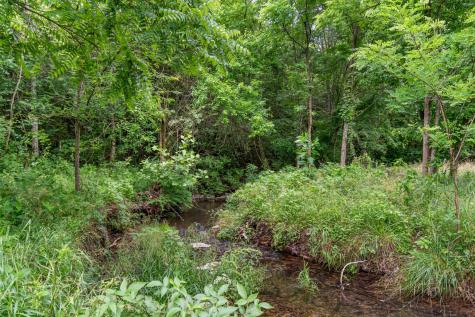 2223 Simmons Ridge Road Cornersville TN 37047