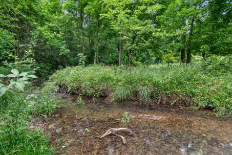 2223 Simmons Ridge Road Cornersville TN 37047