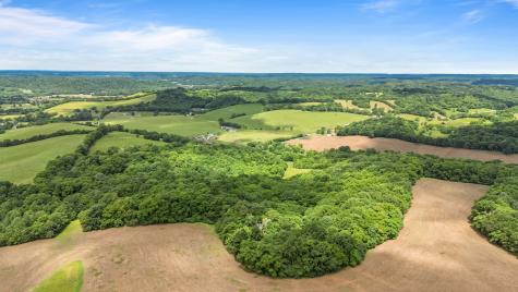 2223 Simmons Ridge Road Cornersville TN 37047