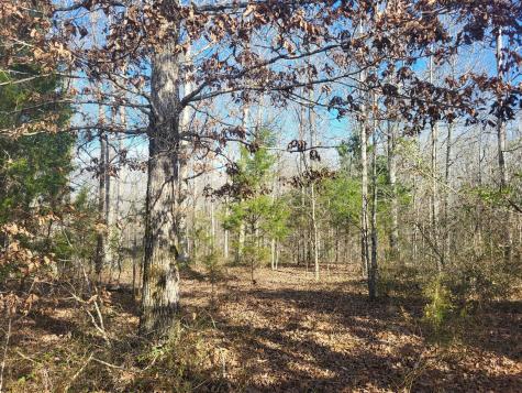 1 Coal Bank Road Sparta TN 38583