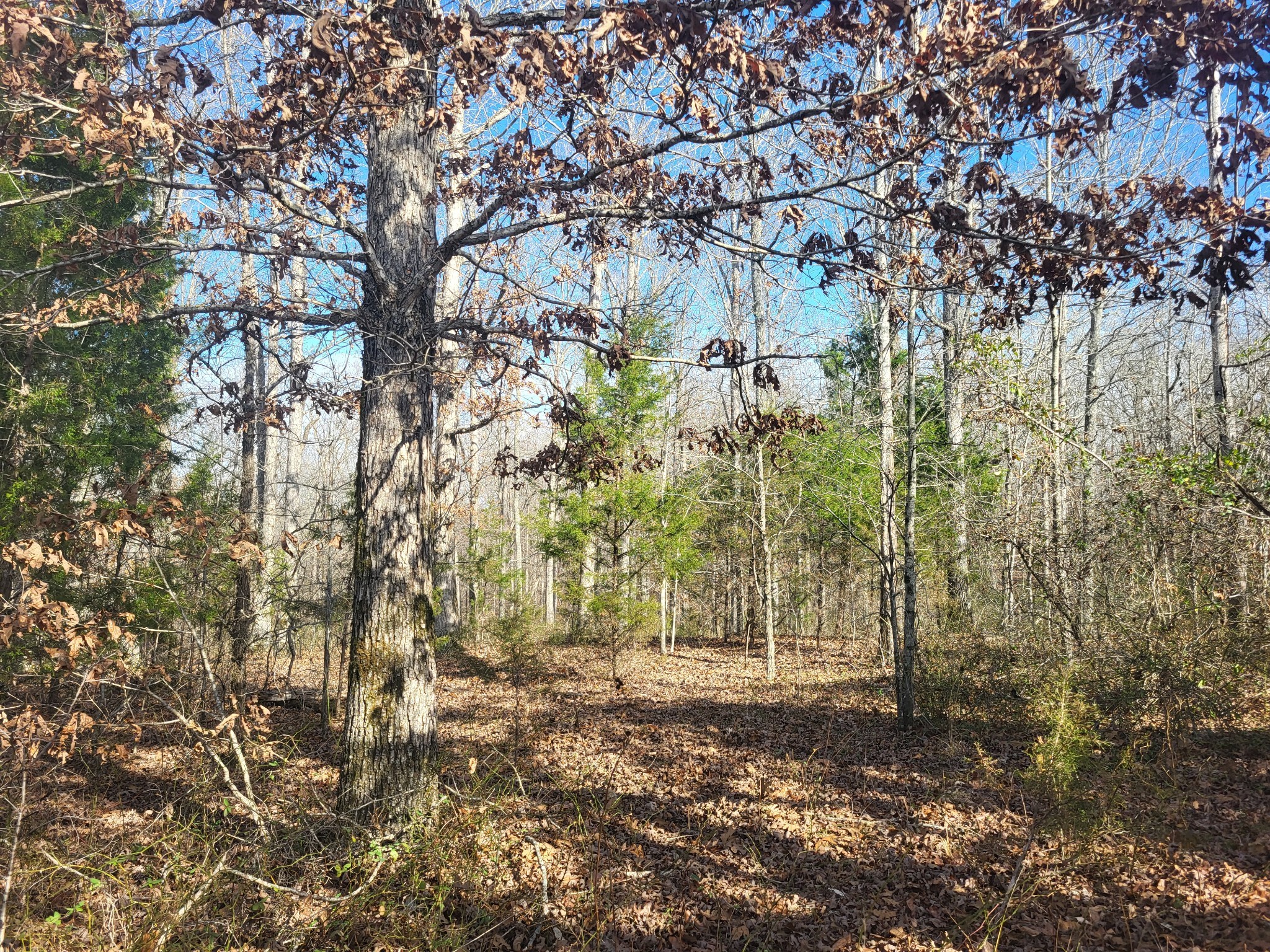 1 Coal Bank Road Sparta TN 38583