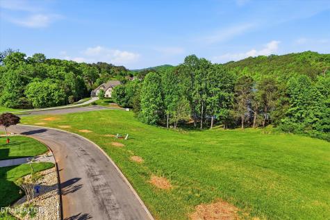 261 White Swan Drive Vonore TN 37885
