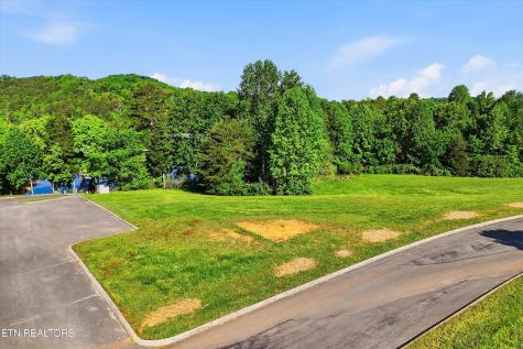 261 White Swan Drive Vonore TN 37885