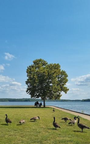 208 Woodmaker Court Nashville TN 37214