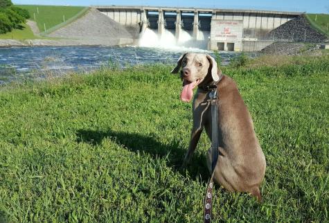 208 Woodmaker Court Nashville TN 37214