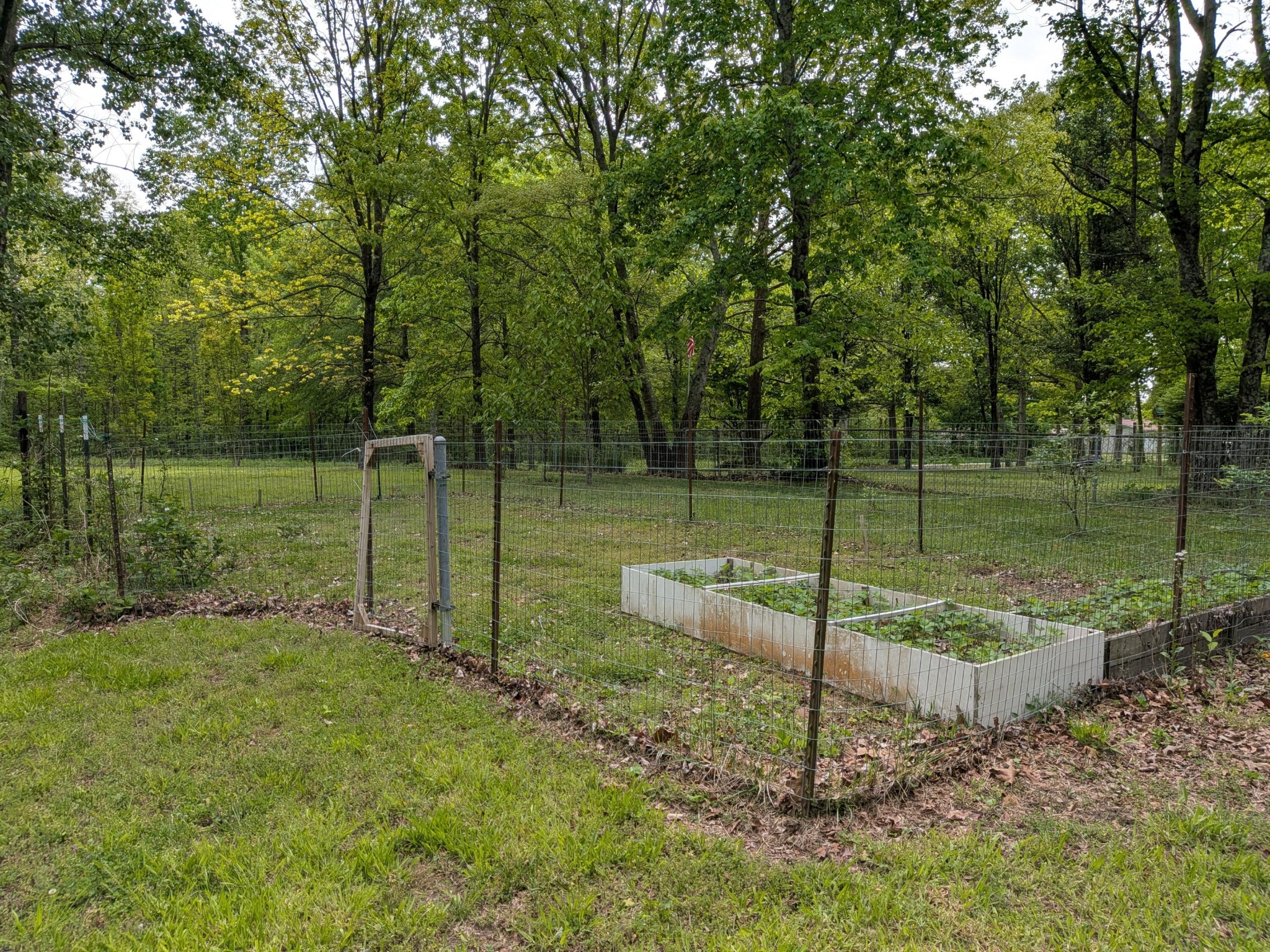 1061 Cranfill Road Dayton TN 37321