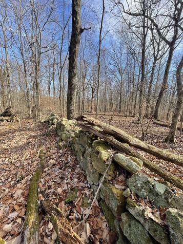 6680 Jocelyn Hollow Road Nashville TN 37205
