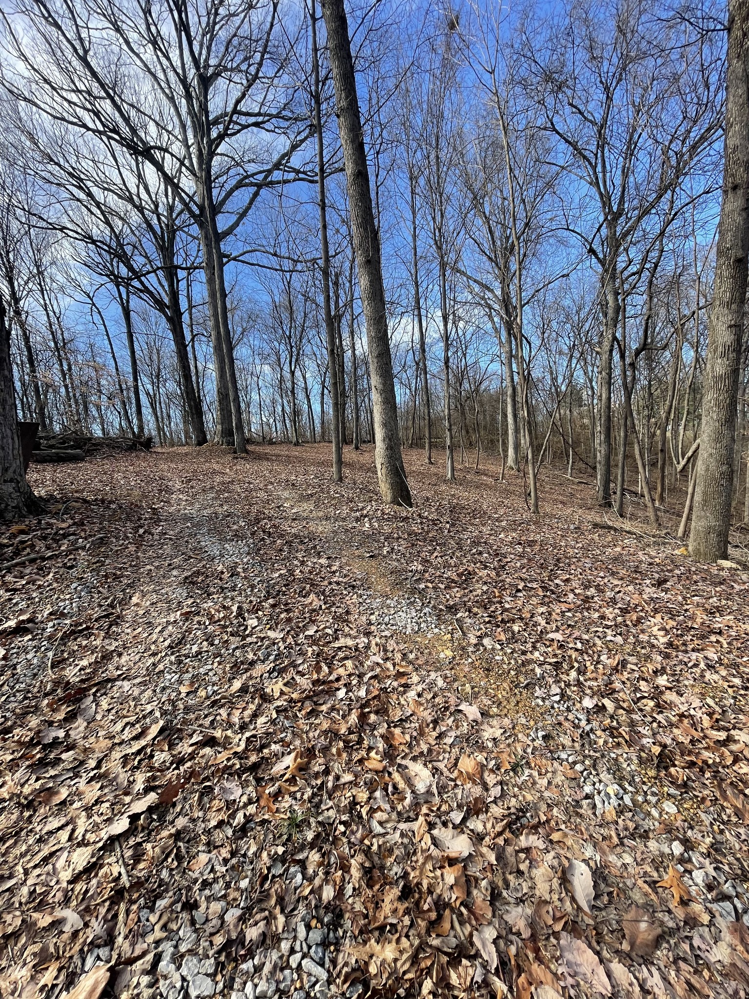 6680 Jocelyn Hollow Road Nashville TN 37205