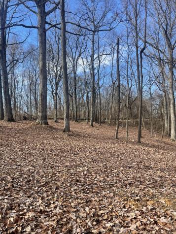 6680 Jocelyn Hollow Road Nashville TN 37205