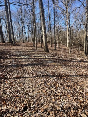 6680 Jocelyn Hollow Road Nashville TN 37205