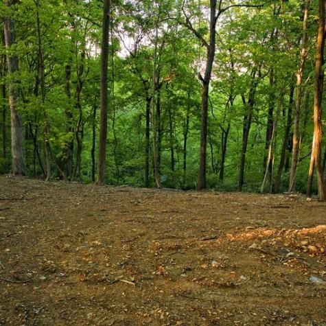 6680 Jocelyn Hollow Road Nashville TN 37205