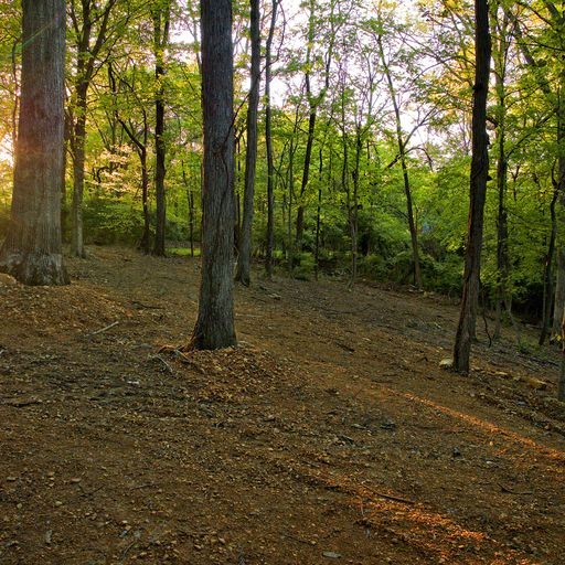 6680 Jocelyn Hollow Road Nashville TN 37205