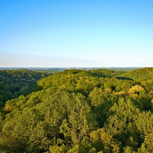 6680 Jocelyn Hollow Road Nashville TN 37205