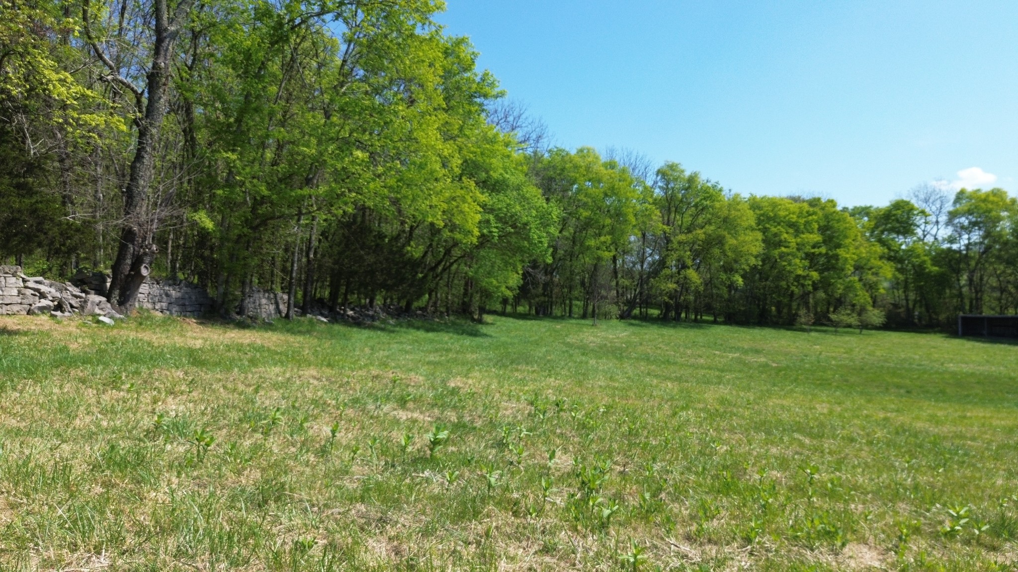2253 Buckeye Loop Road Fayetteville TN 37334