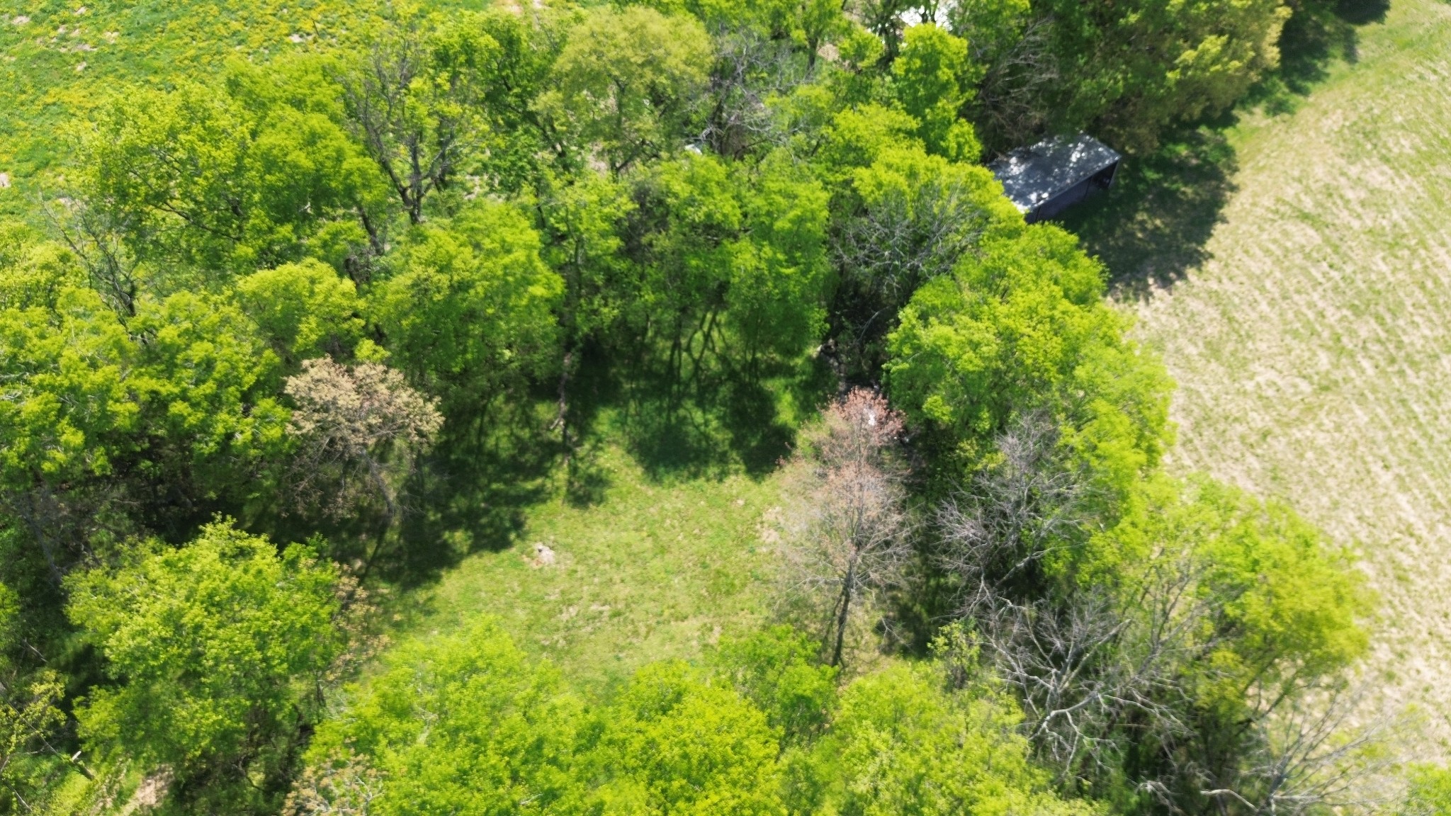 2253 Buckeye Loop Road Fayetteville TN 37334