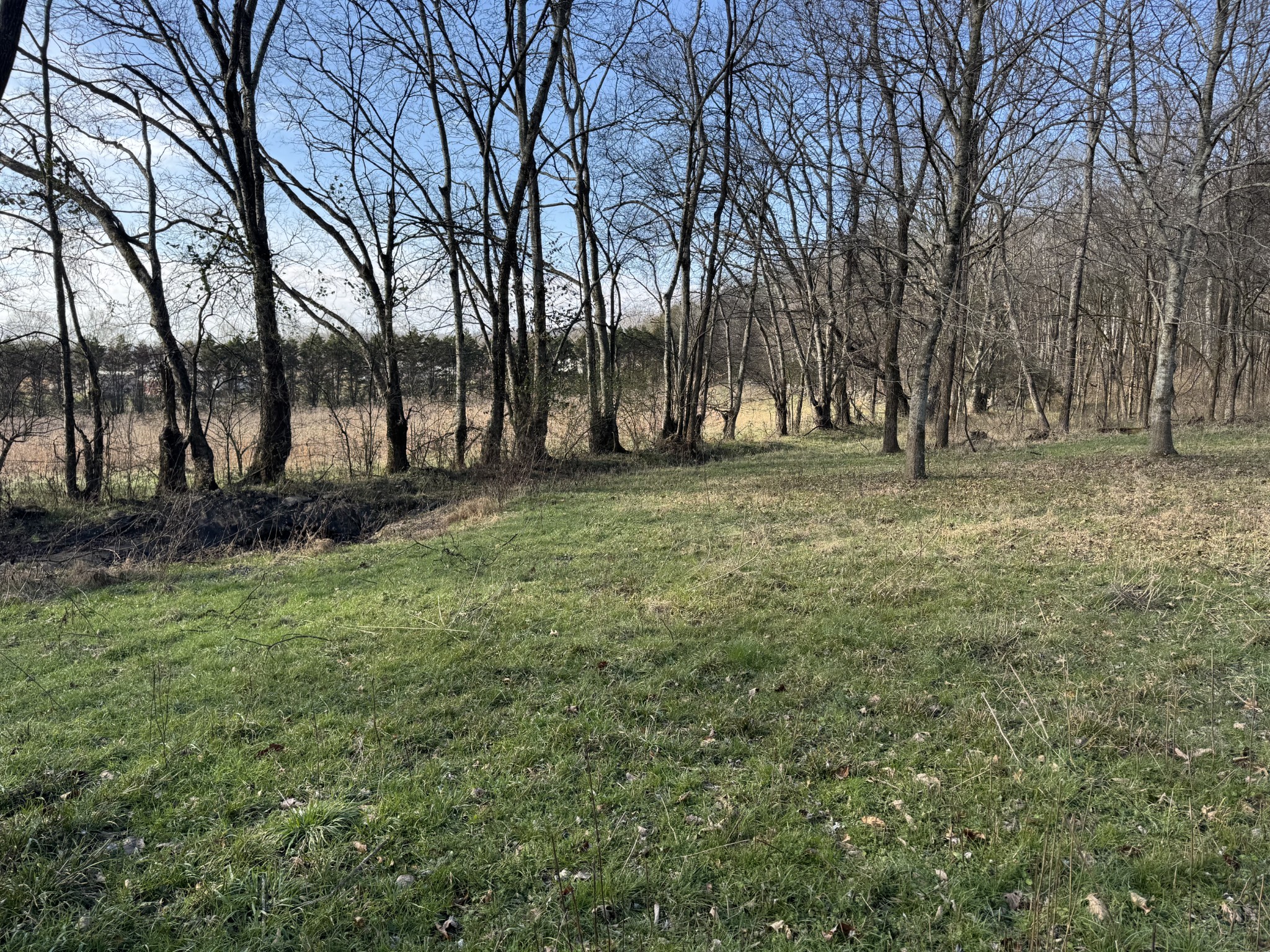 2253 Buckeye Loop Road Fayetteville TN 37334