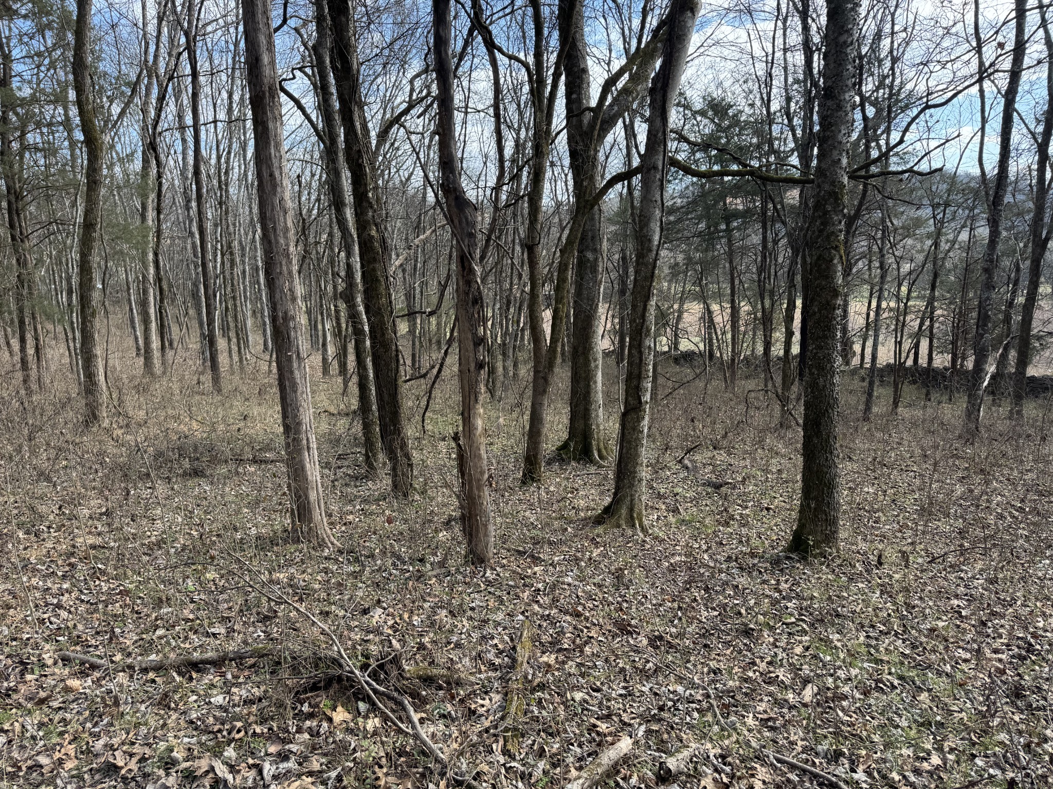 2253 Buckeye Loop Road Fayetteville TN 37334