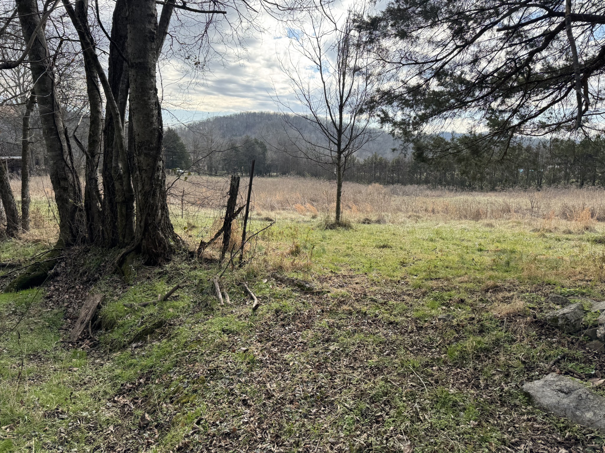 2253 Buckeye Loop Road Fayetteville TN 37334