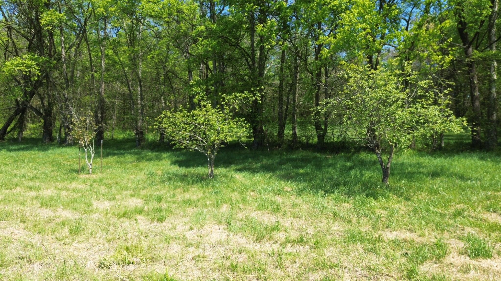 2253 Buckeye Loop Road Fayetteville TN 37334