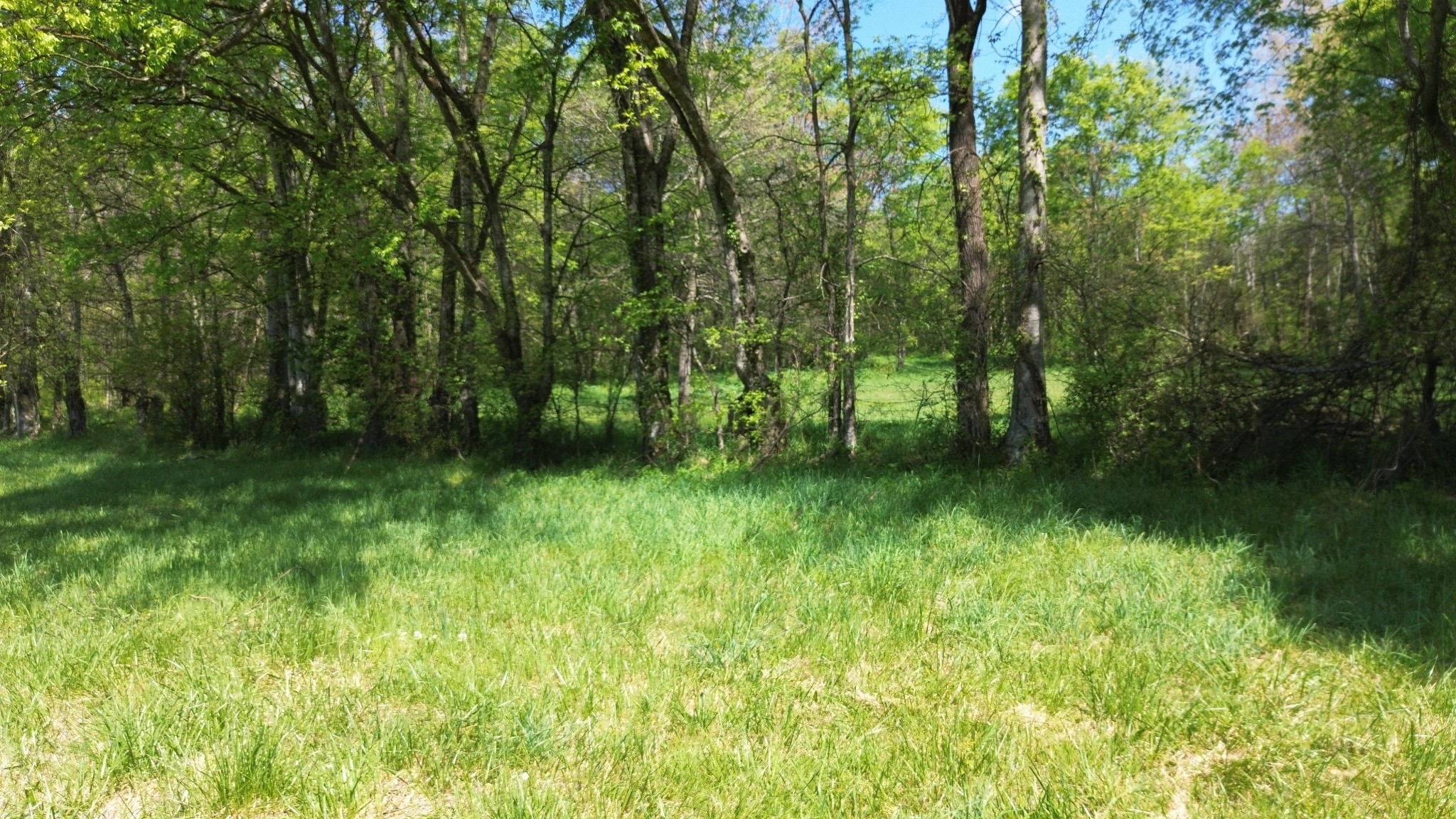2253 Buckeye Loop Road Fayetteville TN 37334
